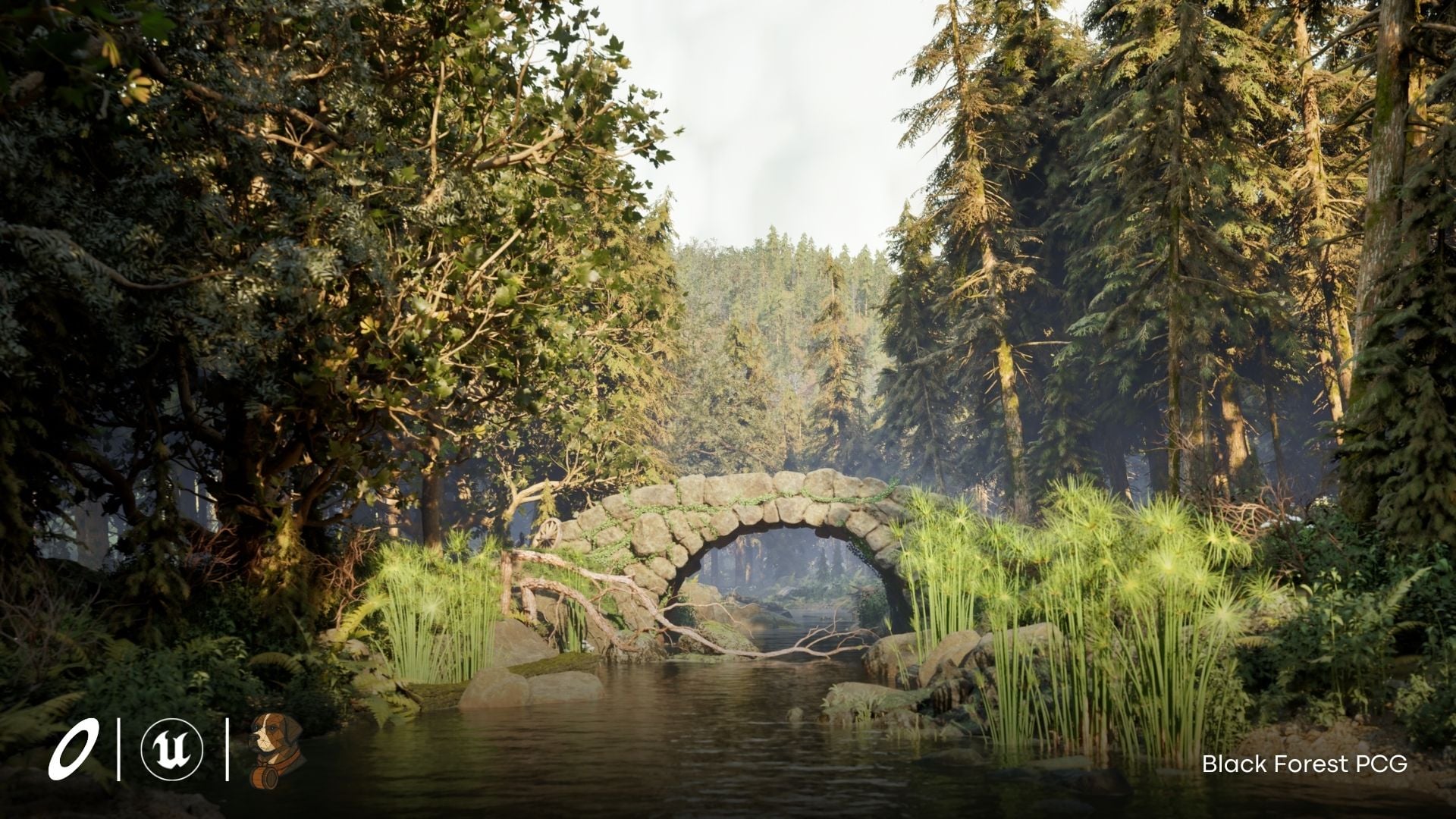 Black Forest PCG Environment